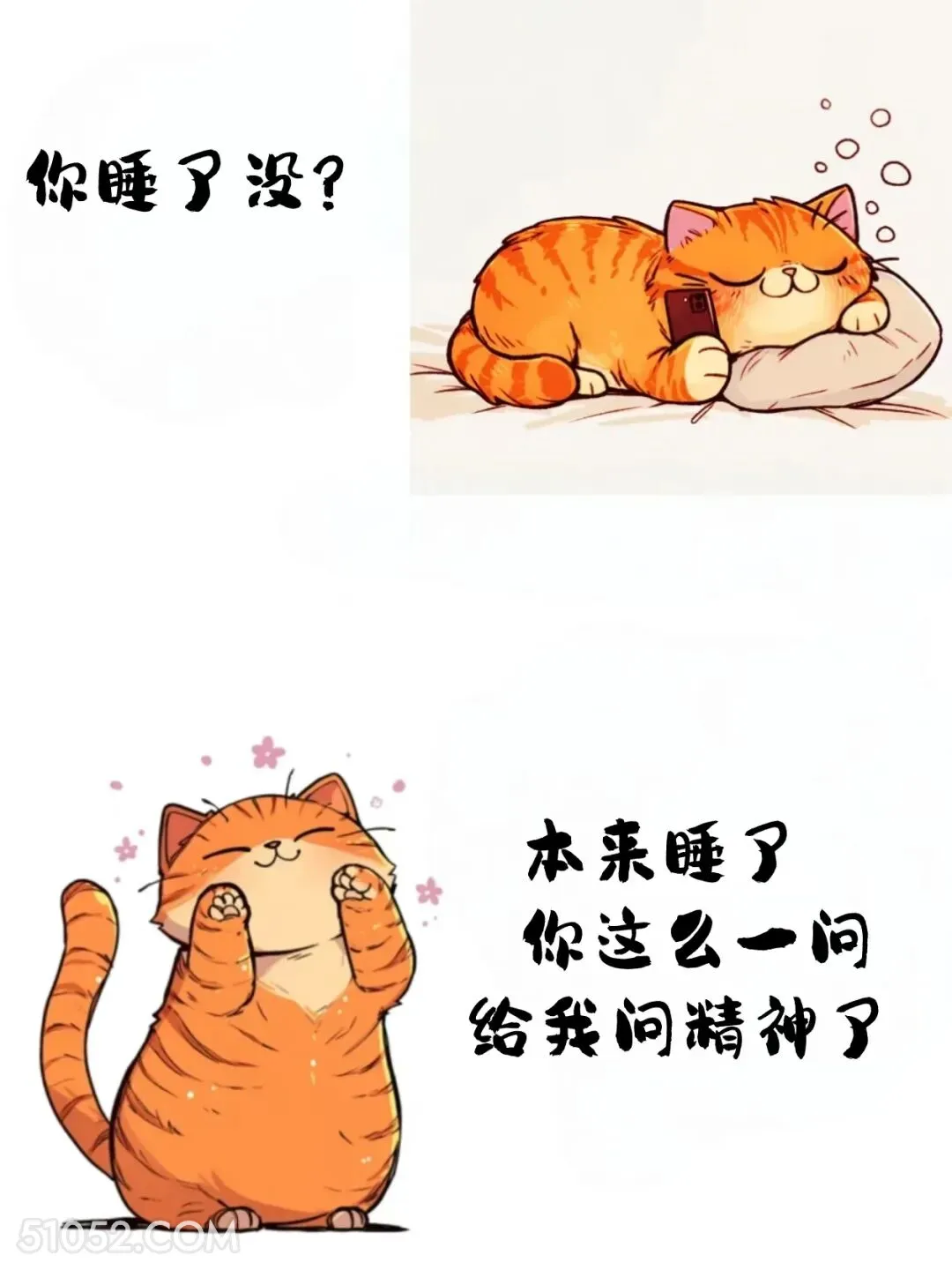 本来睡了，你一问就精神了 猫猫 神回复 搞笑文案