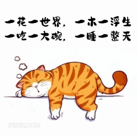 一吃一大碗一睡一整天 猫猫 摆烂 笑死了 搞笑文案 发朋友圈