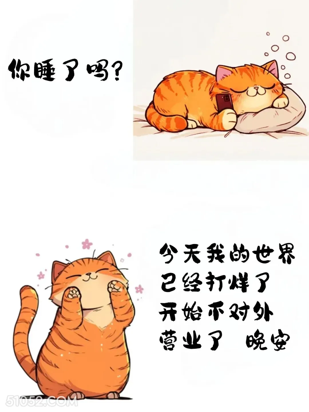 今天我的世界已打烊 猫猫 神回复 搞笑文案