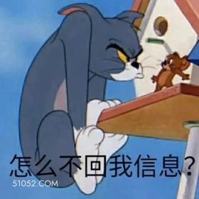 怎么不回我信息 猫和老鼠 动画片 汤姆猫 杰瑞 搞笑表情