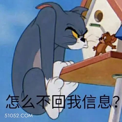 怎么不回我信息 猫和老鼠 动画片 汤姆猫 杰瑞 搞笑表情