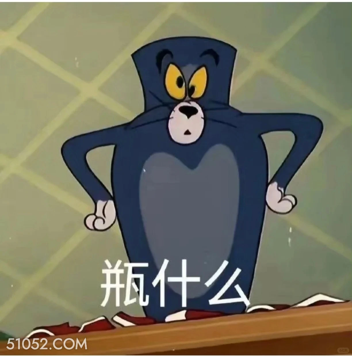 凭什么 猫和老鼠 动画片 汤姆猫 杰瑞 搞笑表情