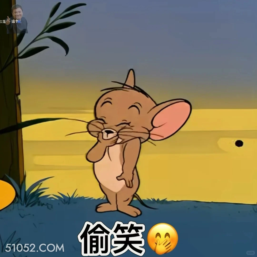 偷笑 猫和老鼠 动画片 汤姆猫 杰瑞 搞笑表情