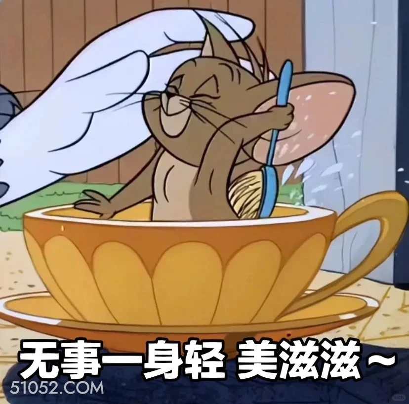 无事一身轻 猫和老鼠 动画片 汤姆猫 杰瑞 搞笑表情