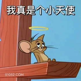 我真是个小天使 猫和老鼠 动画片 汤姆猫 杰瑞 搞笑表情