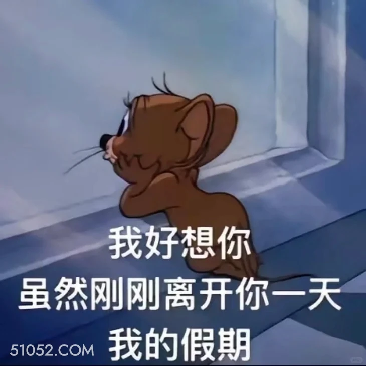 我好想你，我的假期 猫和老鼠 动画片 汤姆猫 杰瑞 搞笑表情