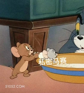 私密马赛 猫和老鼠 动画片 汤姆猫 杰瑞 搞笑表情