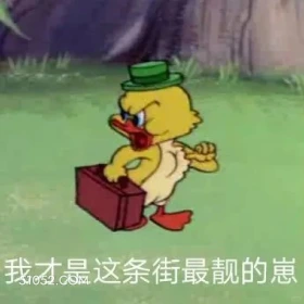 我才是这条街最靓的崽 猫和老鼠 动画片 汤姆猫 杰瑞 搞笑表情