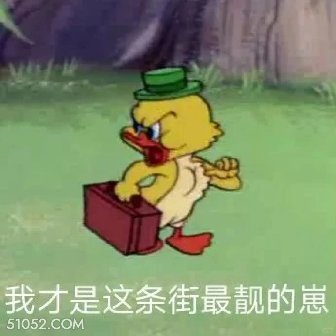 我才是这条街最靓的崽 猫和老鼠 动画片 汤姆猫 杰瑞 搞笑表情