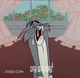 呜呜呜 猫和老鼠 动画片 汤姆猫 杰瑞 搞笑表情