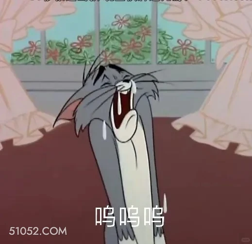 呜呜呜 猫和老鼠 动画片 汤姆猫 杰瑞 搞笑表情