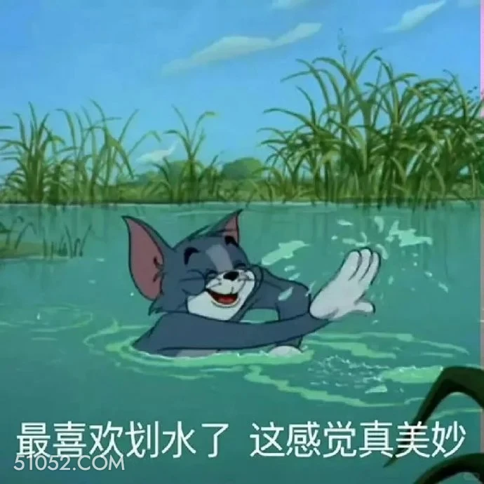 最喜欢划水了 猫和老鼠 动画片 汤姆猫 杰瑞 搞笑表情