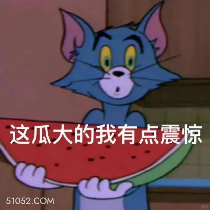 这瓜大的我有点震惊 猫和老鼠 动画片 汤姆猫 杰瑞 搞笑表情
