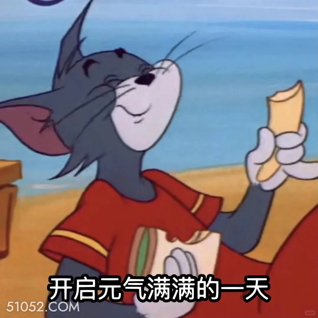 开启元气满满的一天 猫和老鼠 动画片 汤姆猫 杰瑞 搞笑表情