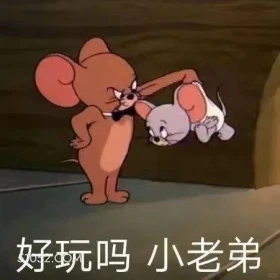 好玩吗小老弟 猫和老鼠 动画片 汤姆猫 杰瑞 搞笑表情