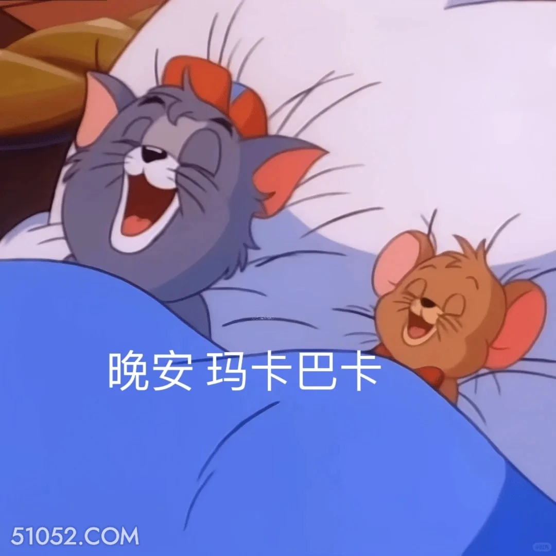 晚安玛卡巴卡 猫和老鼠 动画片 汤姆猫 杰瑞 搞笑表情