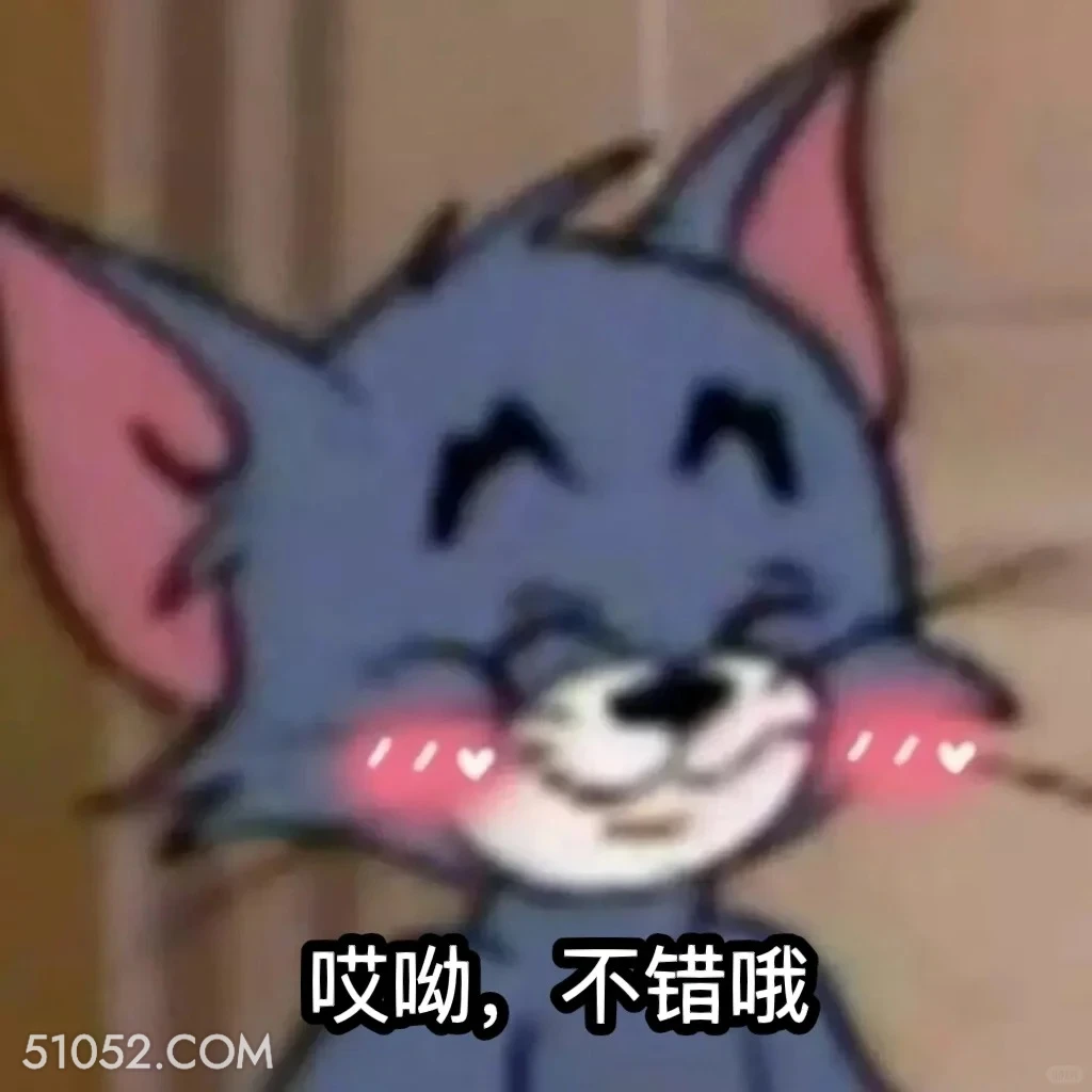 哎哟不错哦 猫和老鼠 动画片 汤姆猫 杰瑞 搞笑表情