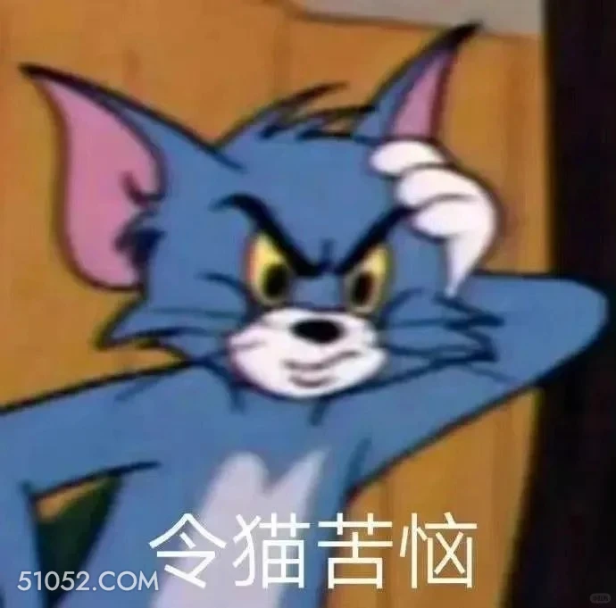 令猫苦恼 猫和老鼠 动画片 汤姆猫 杰瑞 搞笑表情