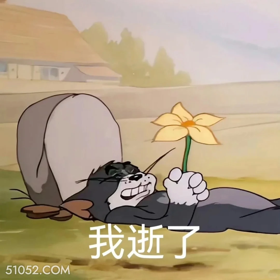 我逝了 猫和老鼠 动画片 汤姆猫 杰瑞 搞笑表情