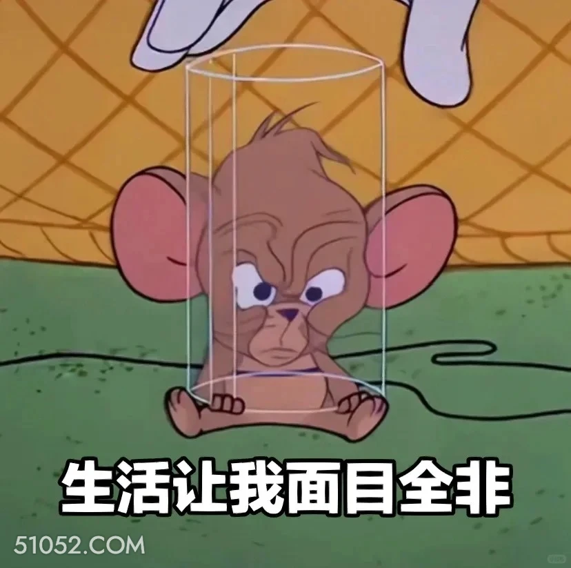 生活让我面目全非 猫和老鼠 动画片 汤姆猫 杰瑞 搞笑表情