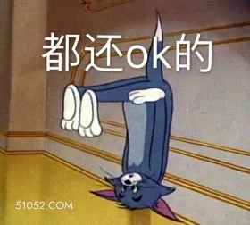 都还ok的 猫和老鼠 动画片 汤姆猫 杰瑞 搞笑表情
