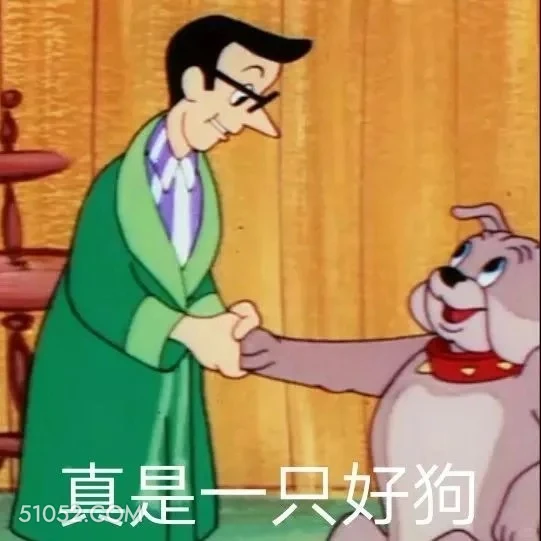 真是一只好狗 猫和老鼠 动画片 汤姆猫 杰瑞 搞笑表情