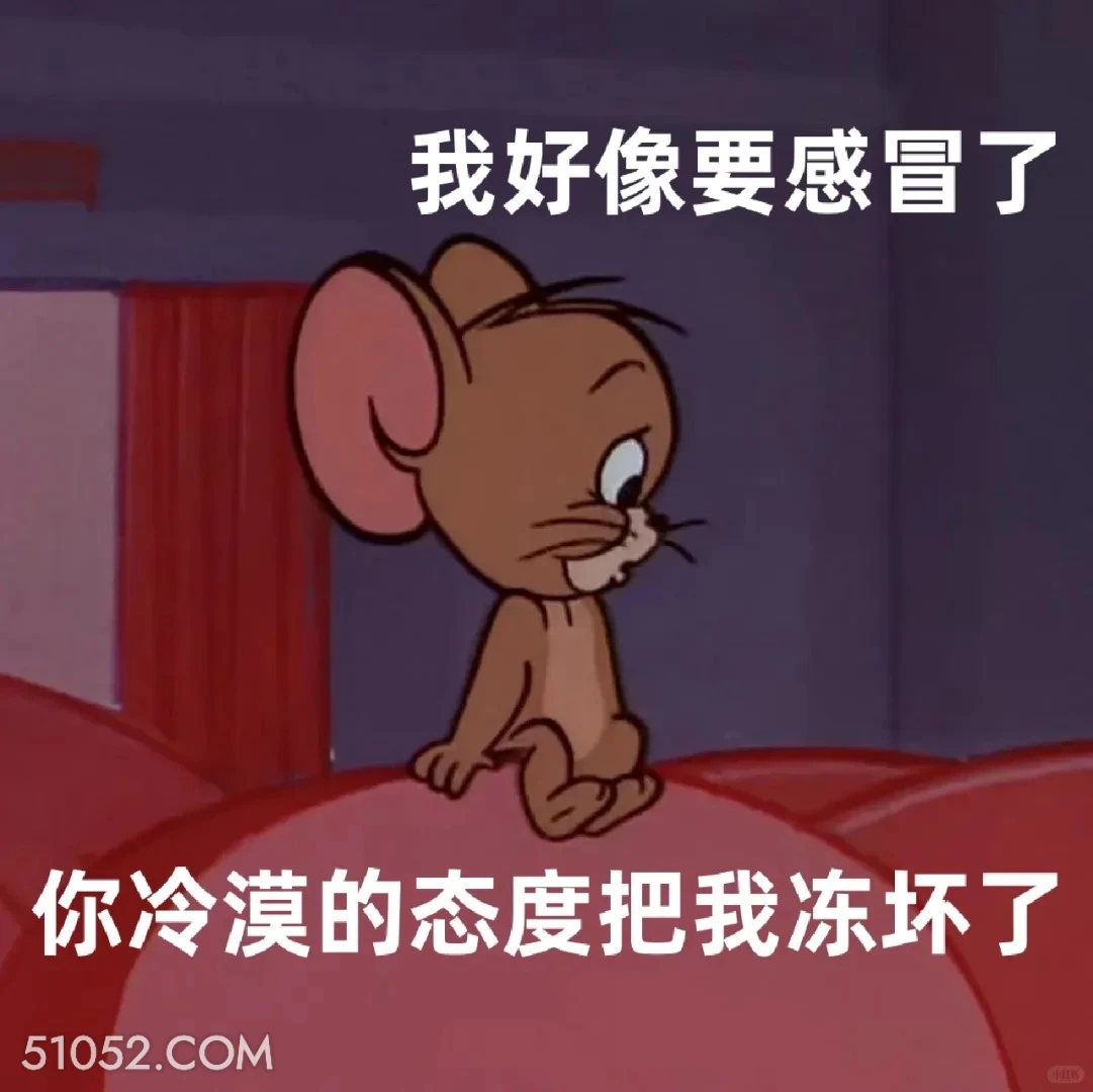 你冷漠的态度把我冻坏了 猫和老鼠 动画片 汤姆猫 杰瑞 搞笑表情