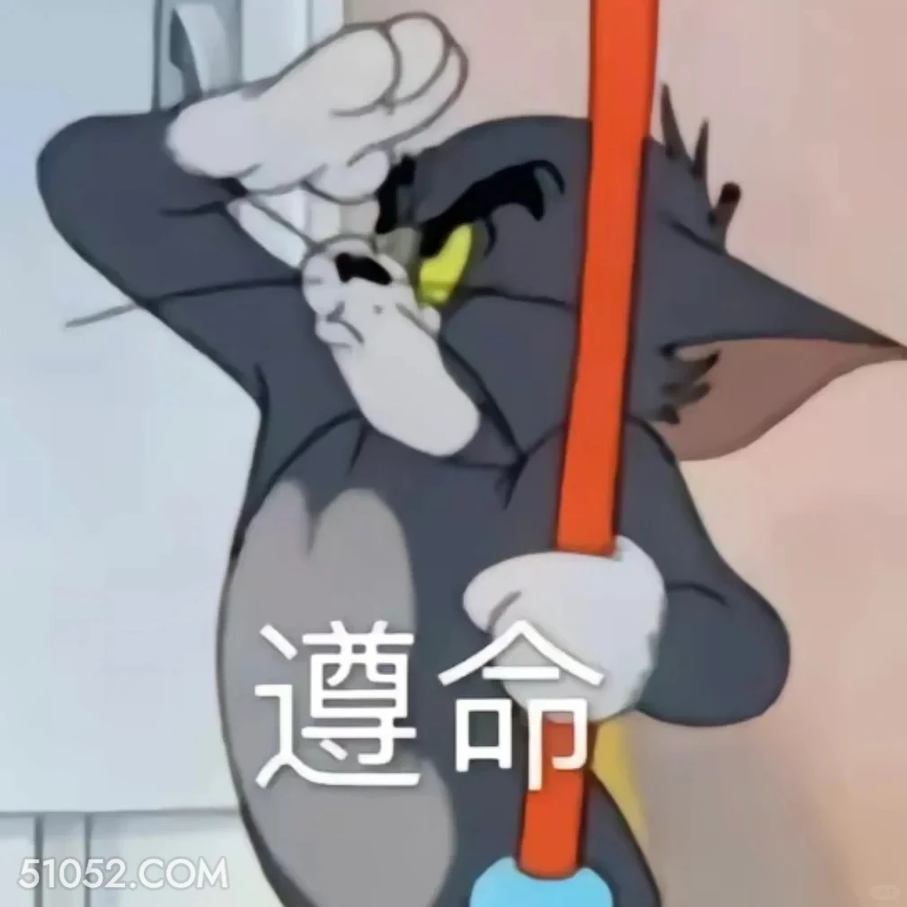 遵命 猫和老鼠 动画片 汤姆猫 杰瑞 搞笑表情