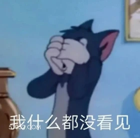 我什么都没看见 猫和老鼠 动画片 汤姆猫 杰瑞 搞笑表情