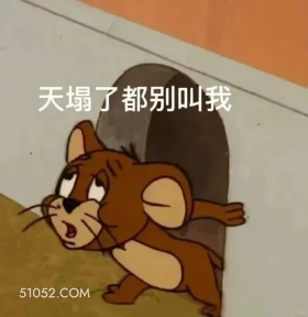 天塌了都别叫我 猫和老鼠 动画片 汤姆猫 杰瑞 搞笑表情