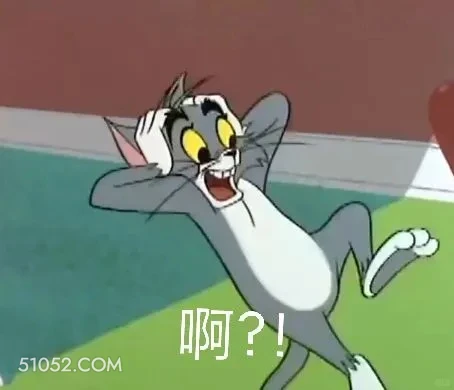 啊？ 猫和老鼠 动画片 汤姆猫 杰瑞 搞笑表情