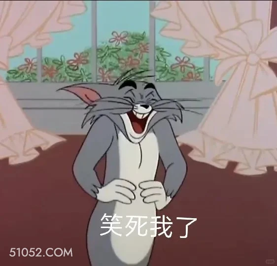 笑死我了 猫和老鼠 动画片 汤姆猫 杰瑞 搞笑表情