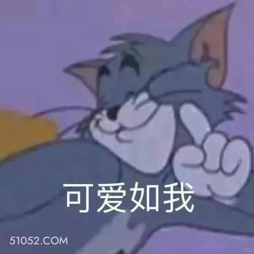 可爱如我 猫和老鼠 动画片 汤姆猫 杰瑞 搞笑表情