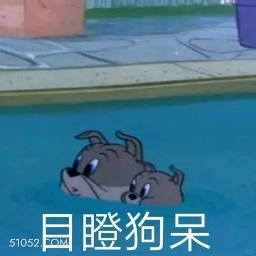 目瞪狗呆 猫和老鼠 动画片 汤姆猫 杰瑞 搞笑表情