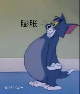 膨胀 猫和老鼠 动画片 汤姆猫 杰瑞 搞笑表情