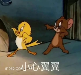 小心翼翼 猫和老鼠 动画片 汤姆猫 杰瑞 搞笑表情