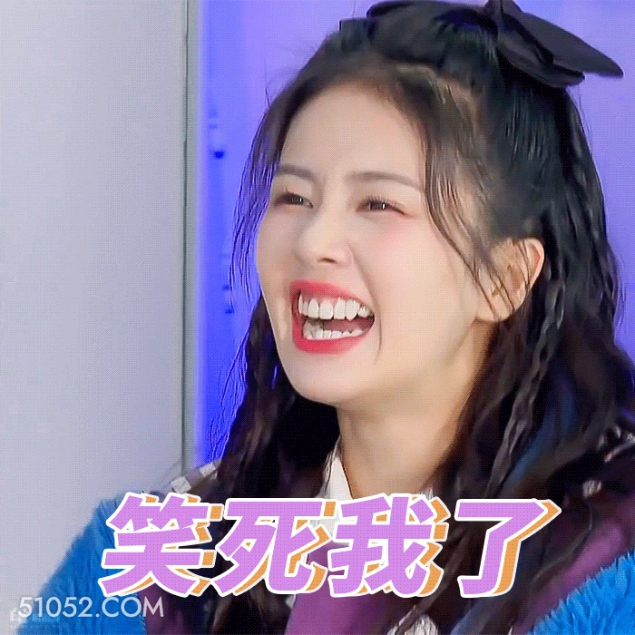 笑死我了 明星表情包 白鹿 白梦妍 搞笑表情