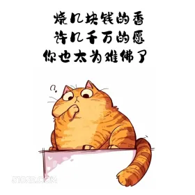 烧几块钱的香许几千万的愿，太难为佛了 猫猫 歪理 走心文案