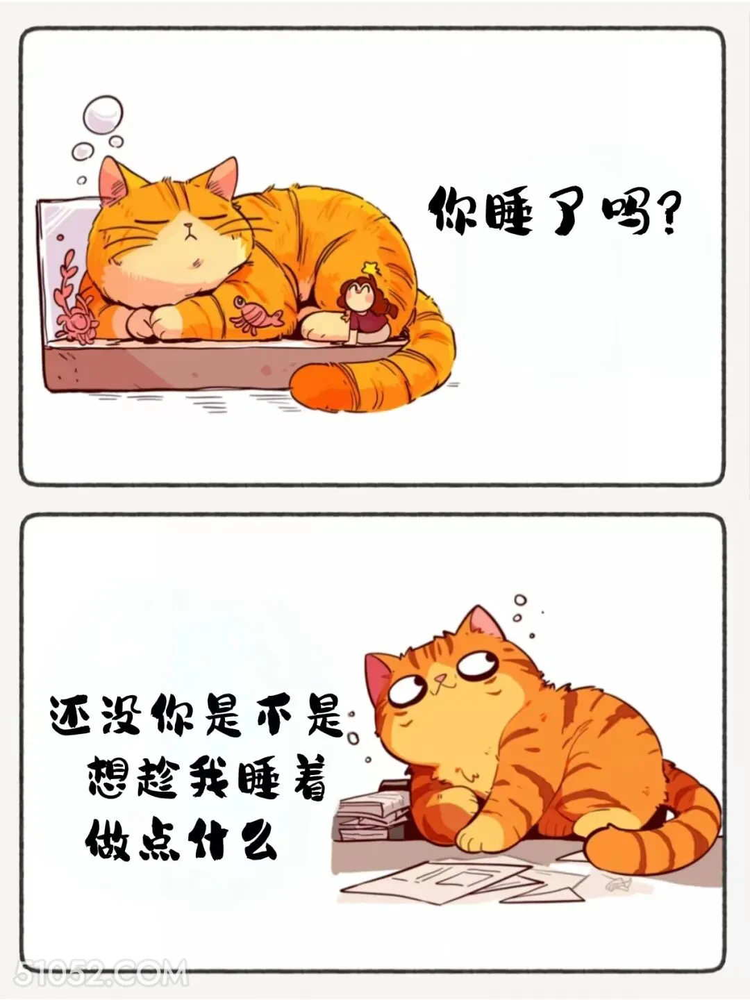 你是不是想趁我睡着做点什么 猫猫 睡了吗 神回复 搞笑文案