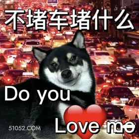 不堵车堵什么，do you love me吗 二哈 返程 堵车 搞笑文案