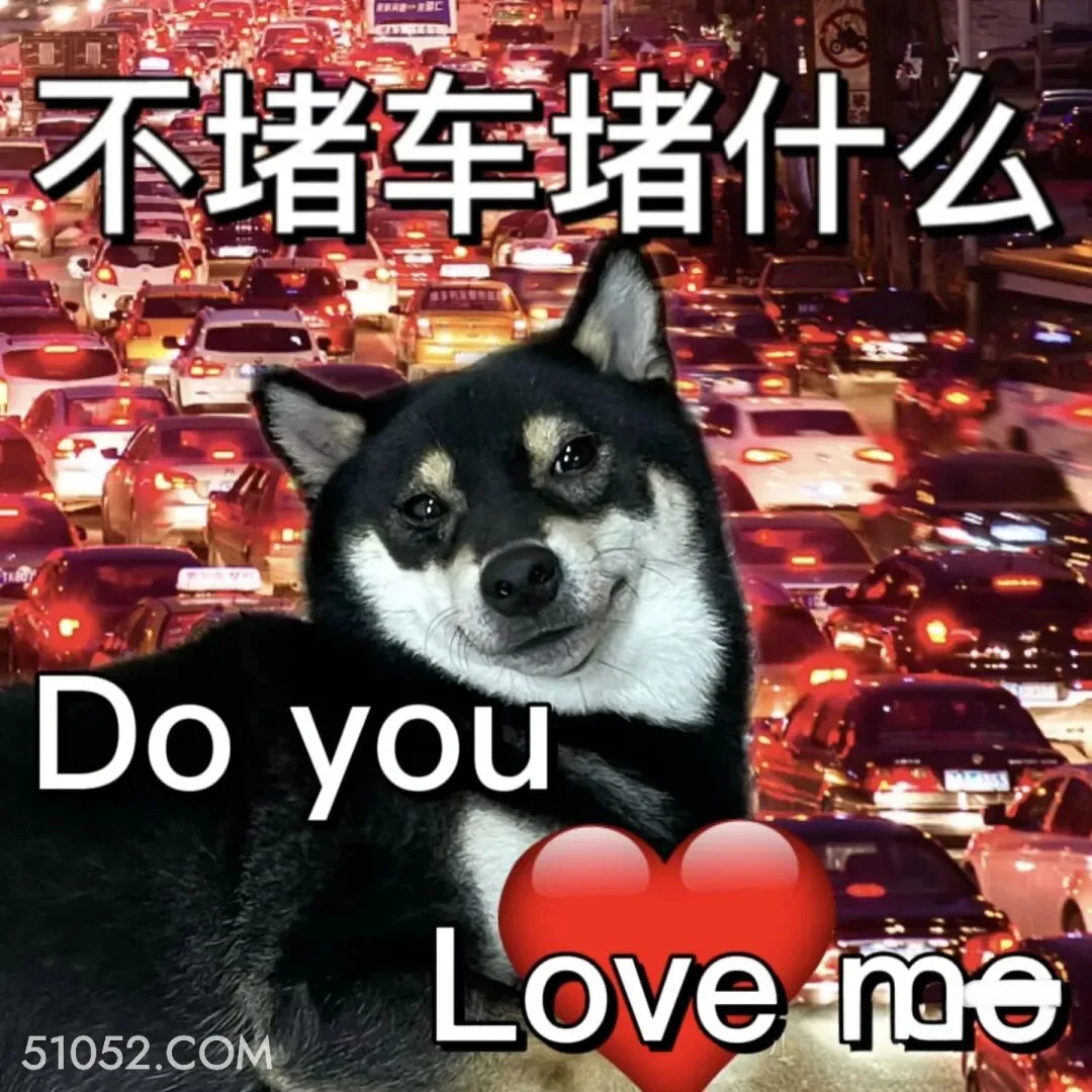 不堵车堵什么，do you love me吗 二哈 返程 堵车 搞笑文案