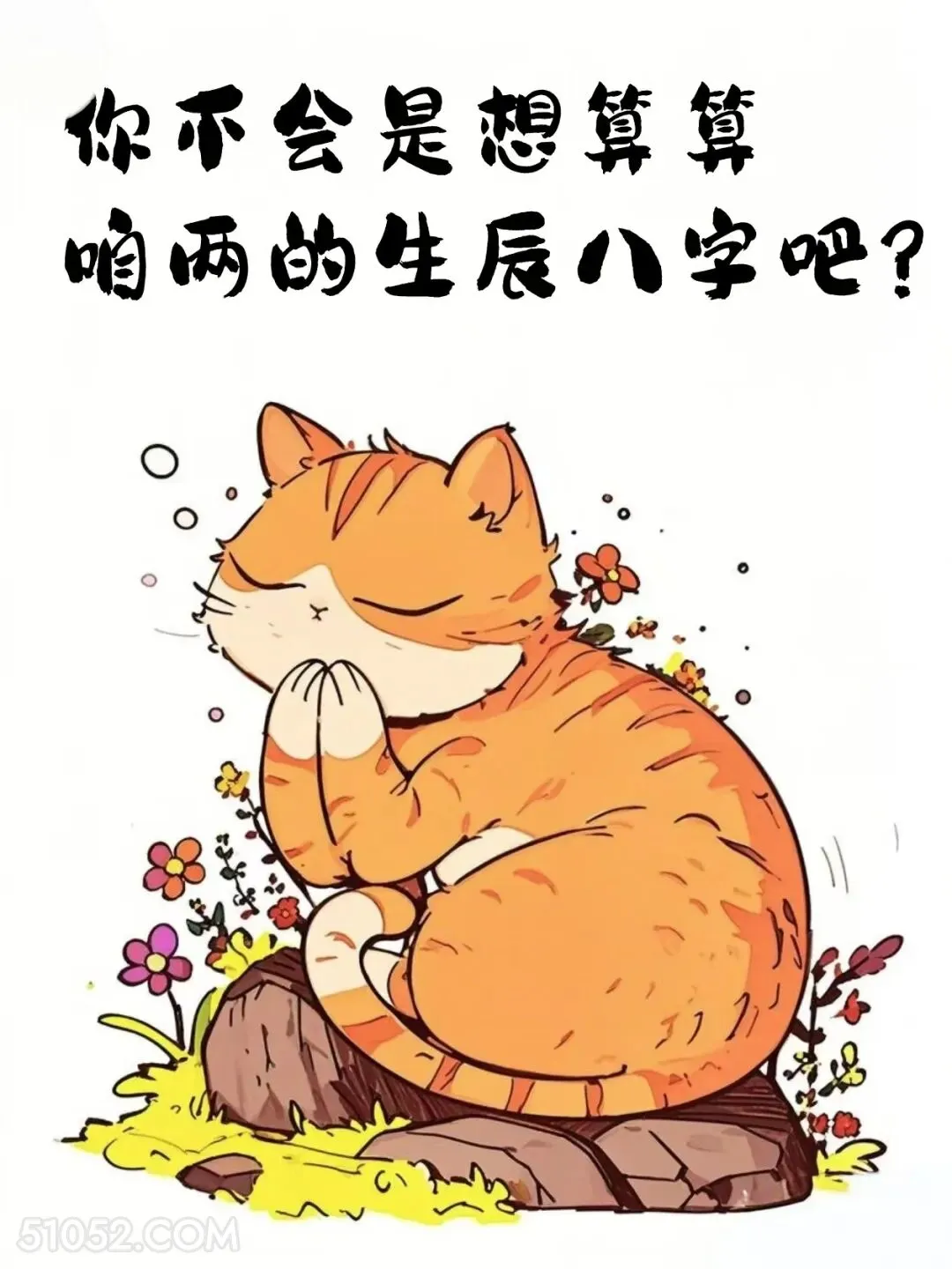 你不会想算咱俩的生辰八字吧 猫猫 你多大了 神回复 搞笑文案
