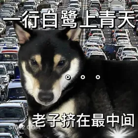 一行白鹭上青天，老子挤在最中间 二哈 返程 堵车 搞笑文案
