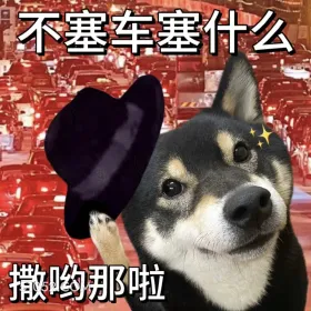 不塞车塞什么，撒哟那啦 二哈 返程 堵车 搞笑文案