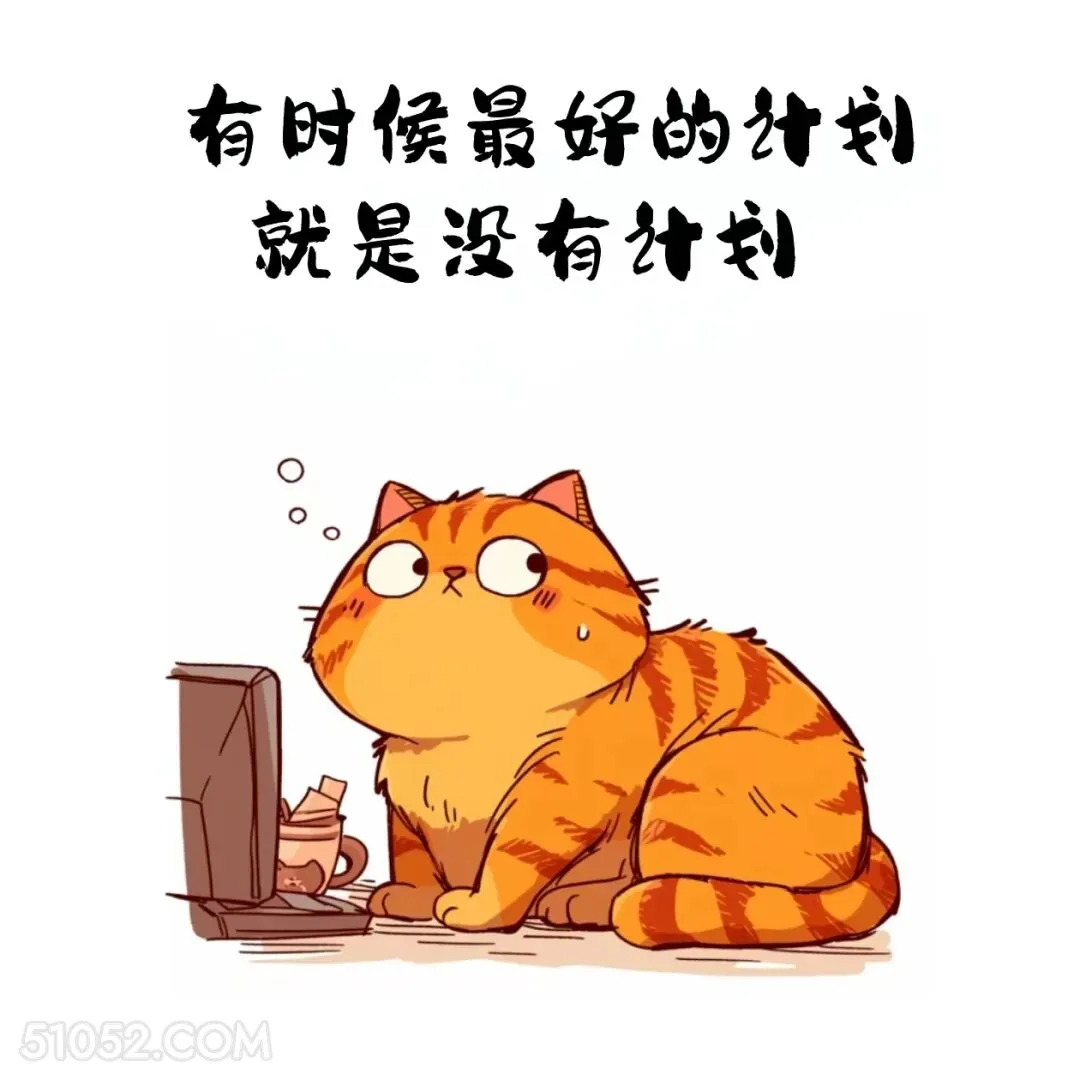 有时最好的计划就是没计划 猫猫 歪理 走心文案