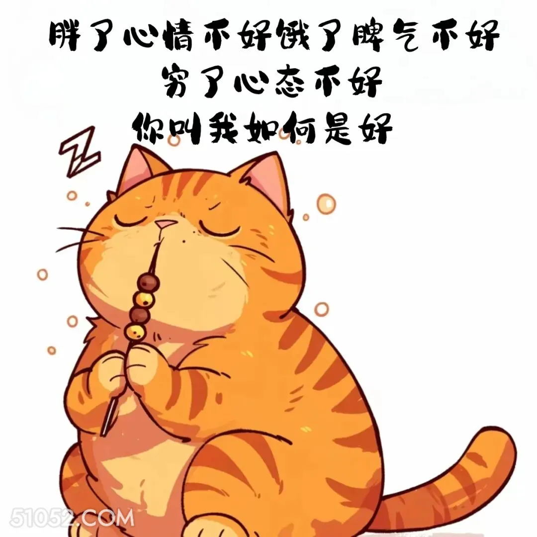 胖了心情不好饿了脾气不好穷了心态不好 猫猫 有梗 搞笑文案