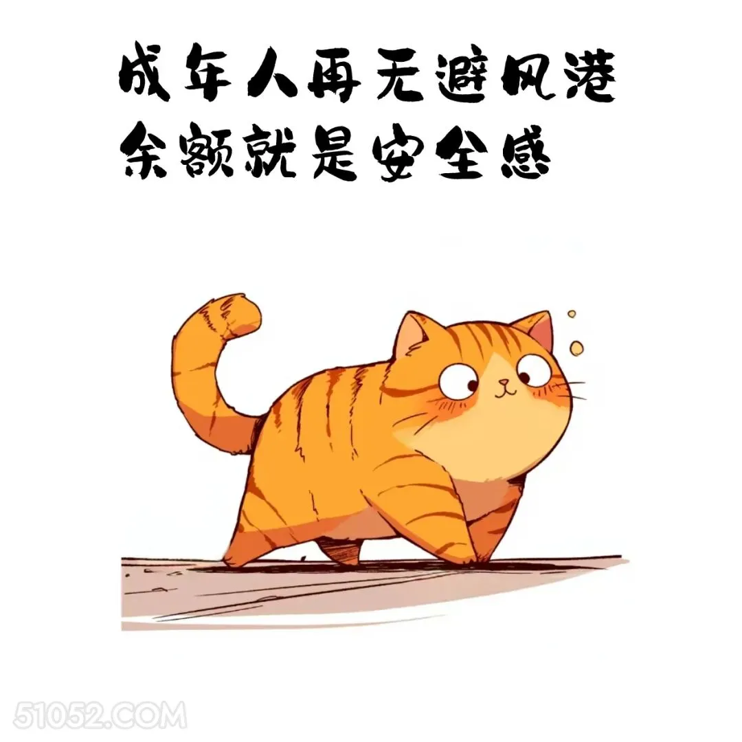 成年再无避风港，余额就是安全感 猫猫 歪理 走心文案