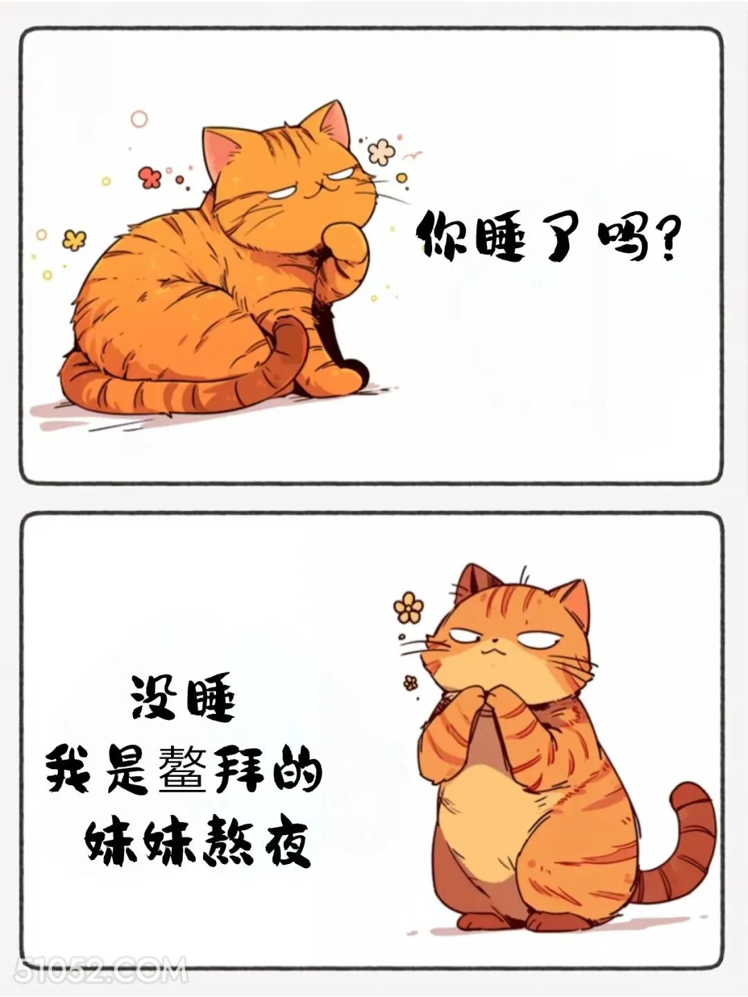 没睡，我是鳌拜的妹妹熬夜 猫猫 睡了吗 神回复 搞笑文案