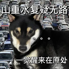 山重水复疑无路，一觉醒来在原处 二哈 返程 堵车 搞笑文案