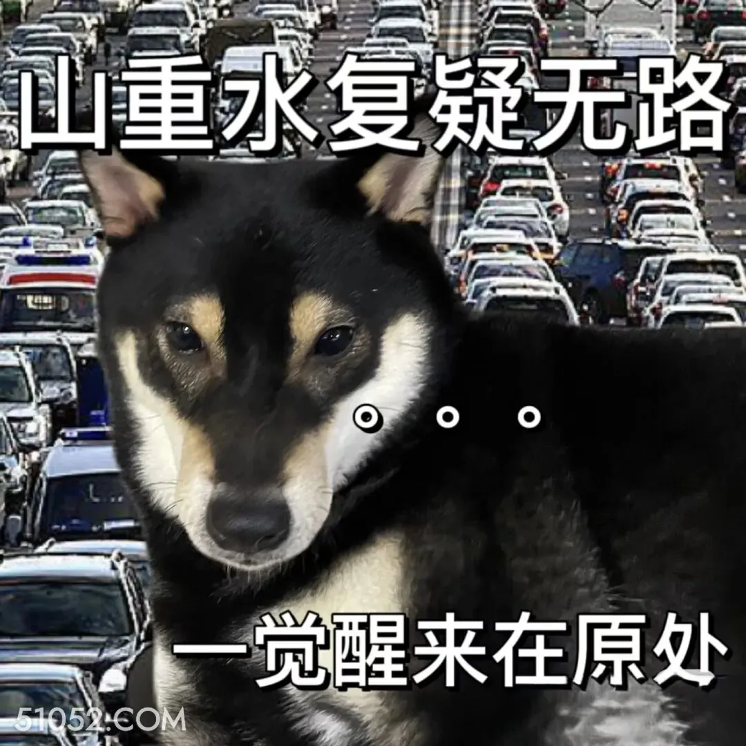 山重水复疑无路，一觉醒来在原处 二哈 返程 堵车 搞笑文案
